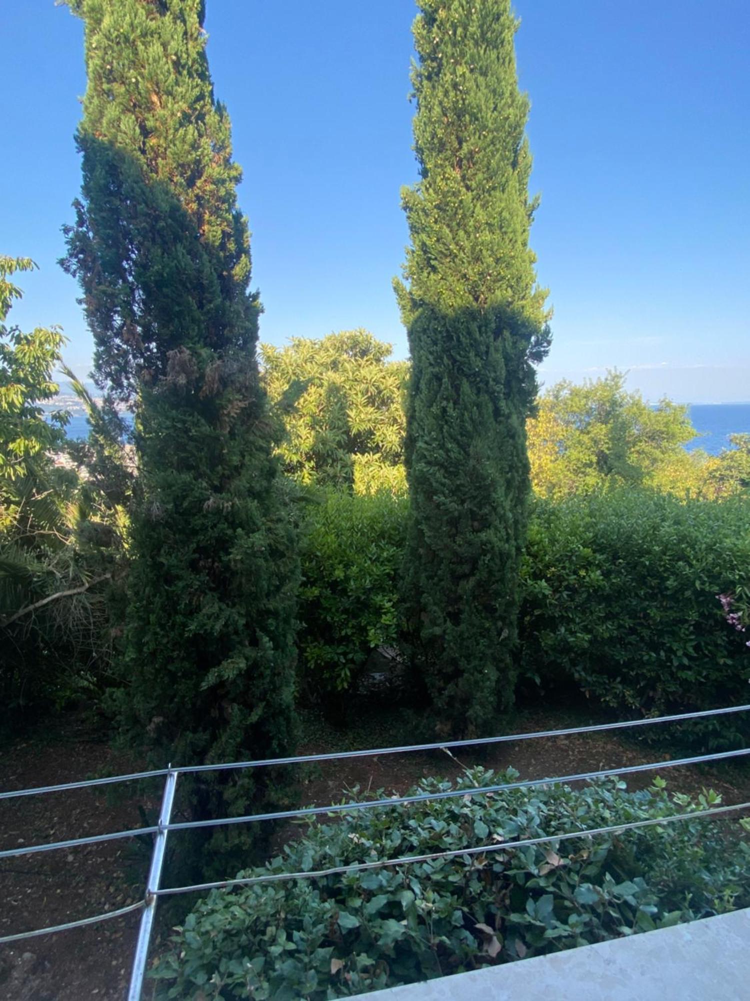 Villa Salyna Ičići 外观 照片