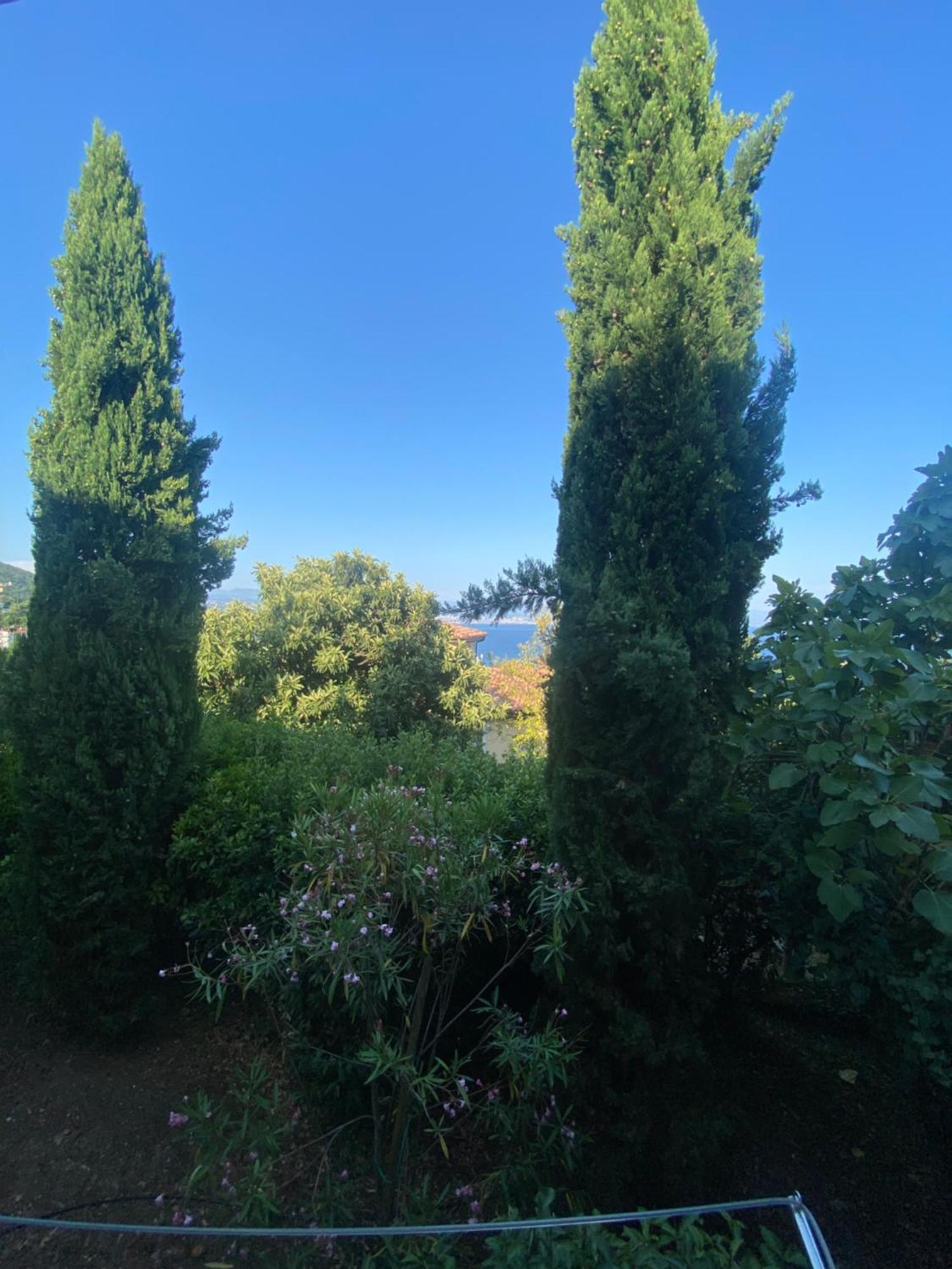 Villa Salyna Ičići 外观 照片