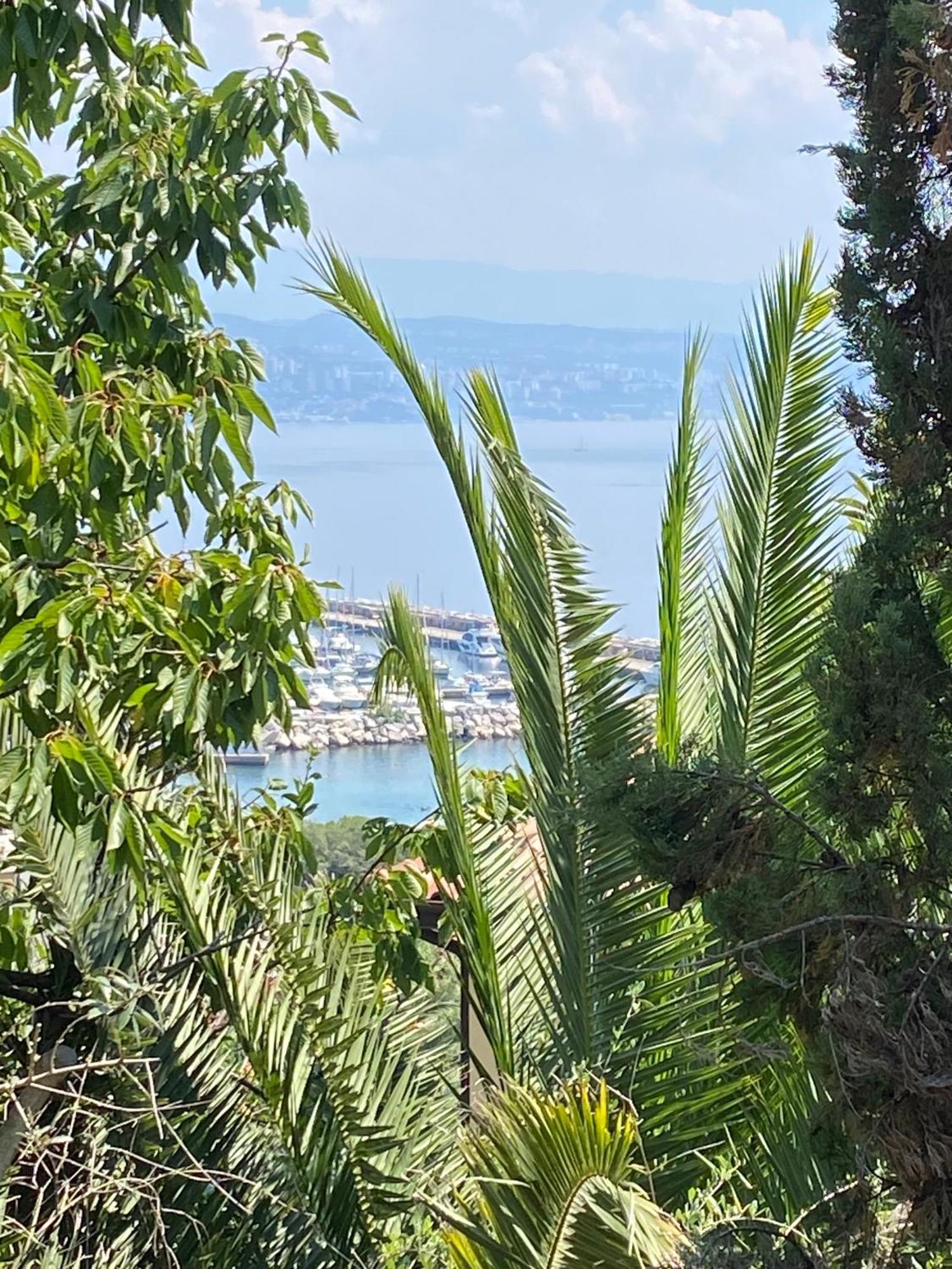 Villa Salyna Ičići 外观 照片