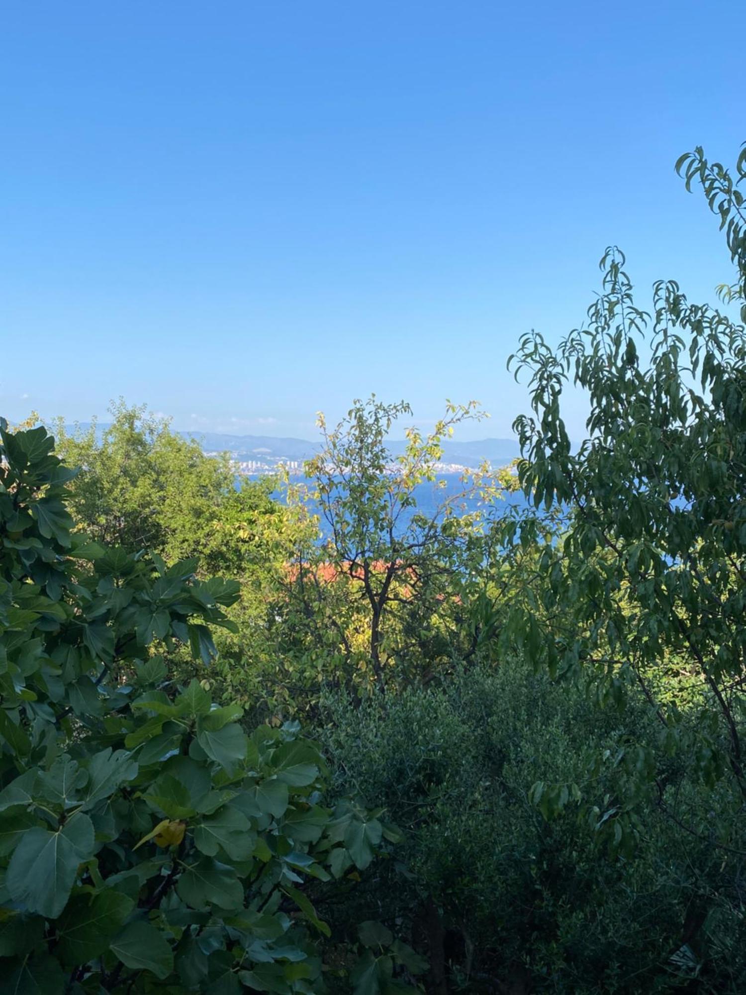 Villa Salyna Ičići 外观 照片