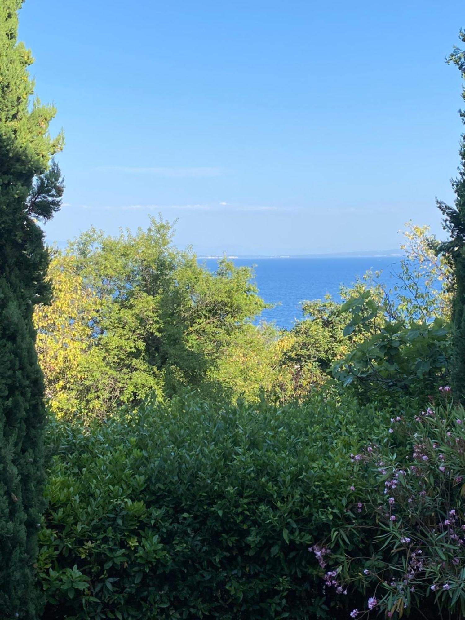 Villa Salyna Ičići 外观 照片