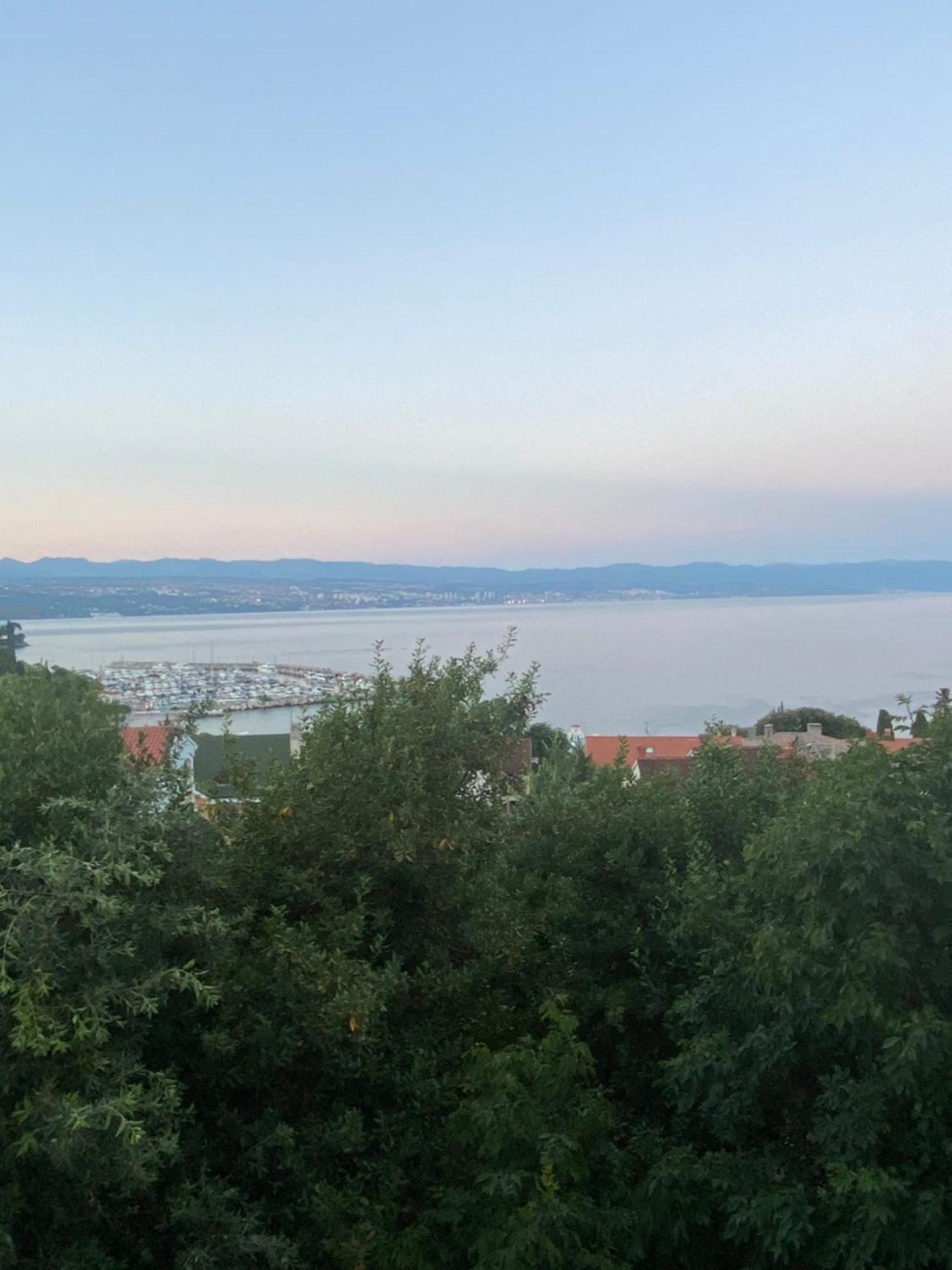 Villa Salyna Ičići 外观 照片