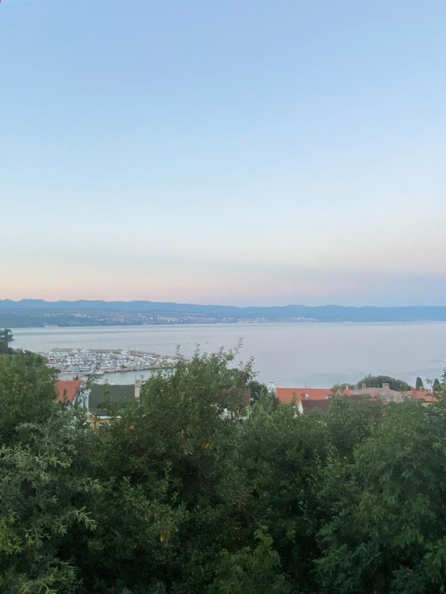 Villa Salyna Ičići 外观 照片