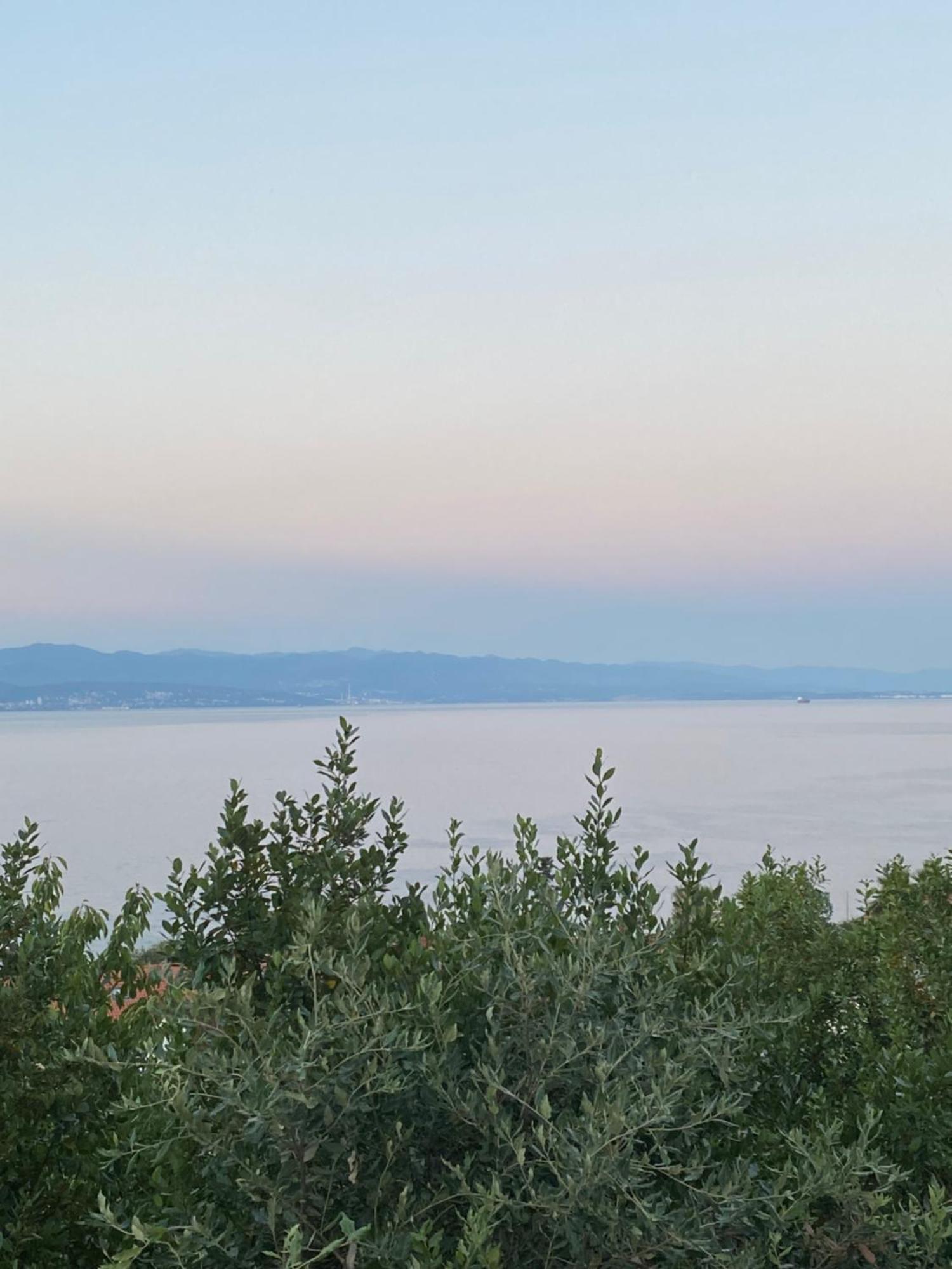 Villa Salyna Ičići 外观 照片