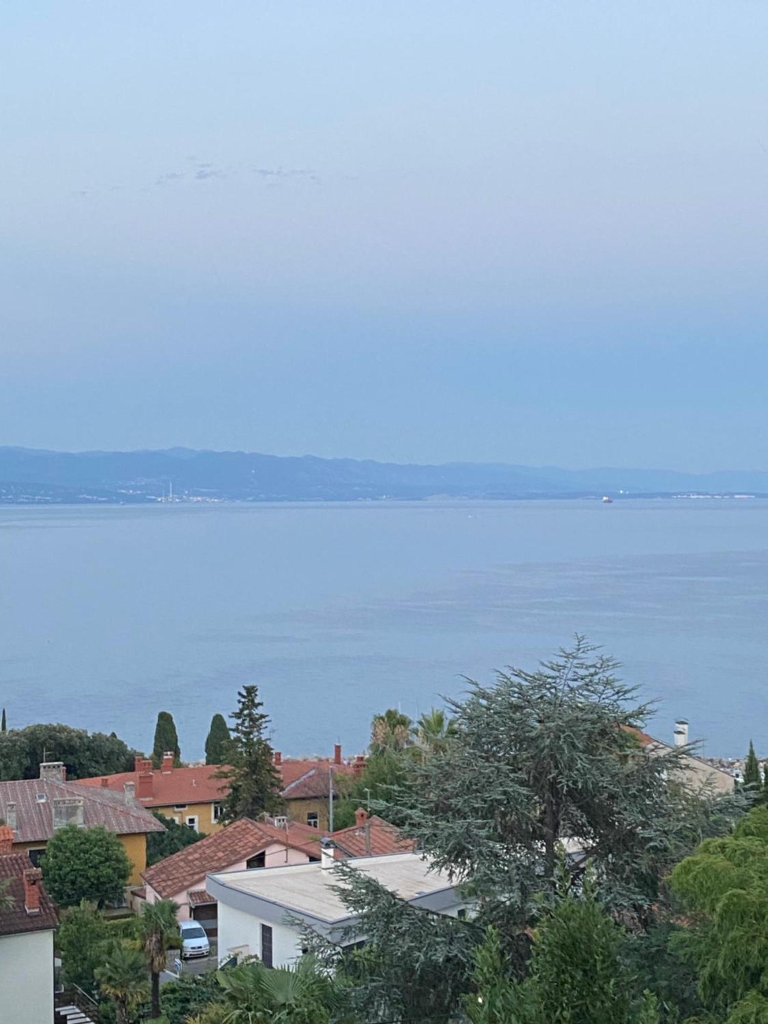 Villa Salyna Ičići 外观 照片